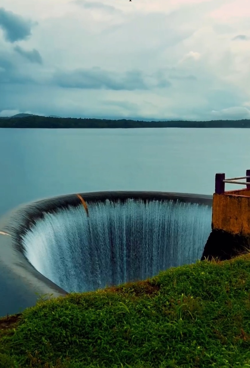Monsoon lake Goa green landscape