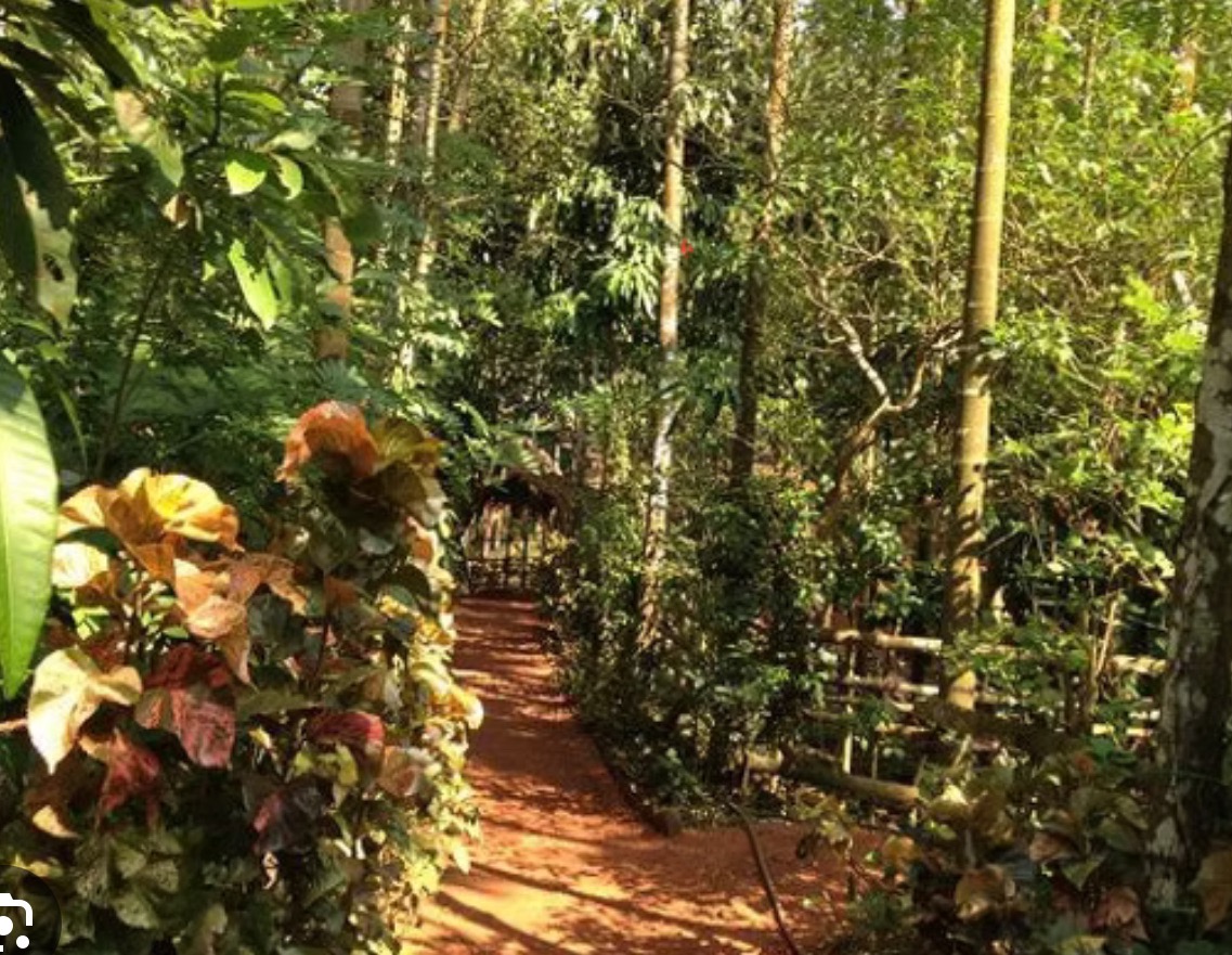 Spice farm Canacona South Goa