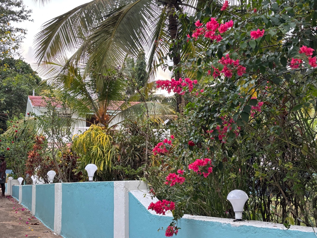 Tropical garden path, NIVRRITII villa